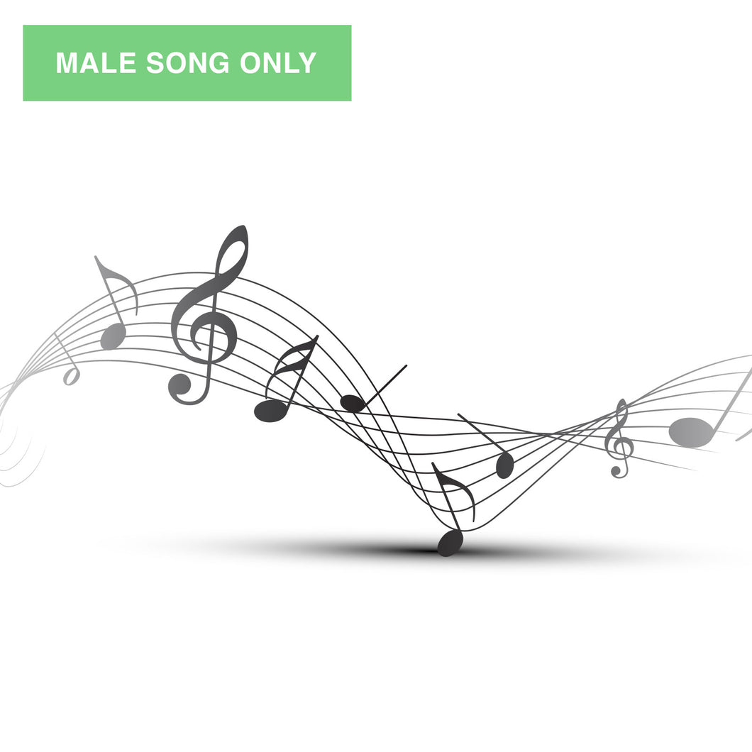 When You and I Are Fast Asleep: Downloadable Song - Male Voice